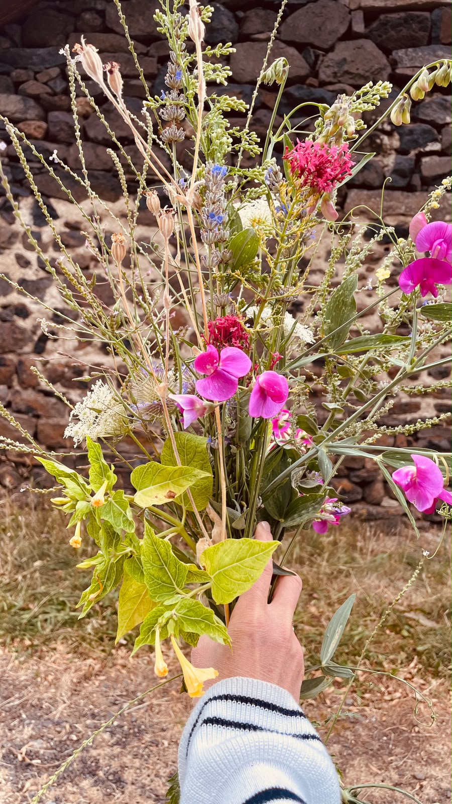 Cueillette d'un bouquet de fleurs des champs