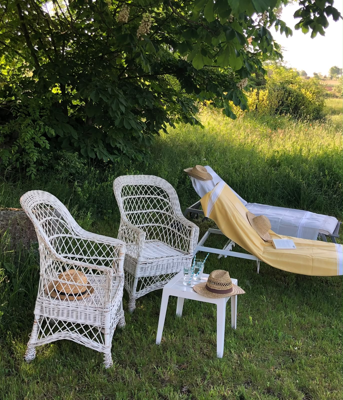 Fauteuils en osier blanc et transat au jardin, sous les arbres